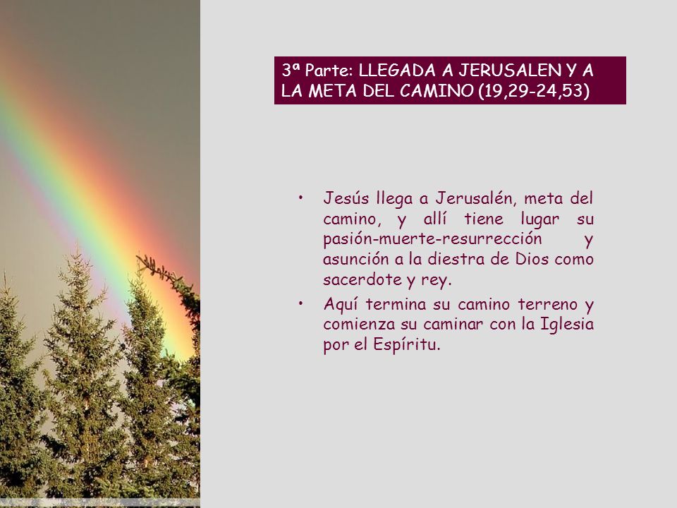 3ª Parte: LLEGADA A JERUSALEN Y A LA META DEL CAMINO (19,29-24,53)