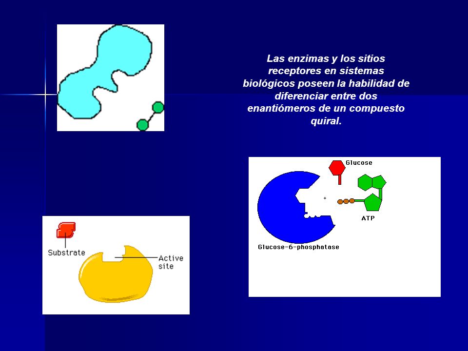 Las enzimas y los sitios receptores en sistemas biológicos poseen la habilidad de diferenciar entre dos enantiómeros de un compuesto quiral.