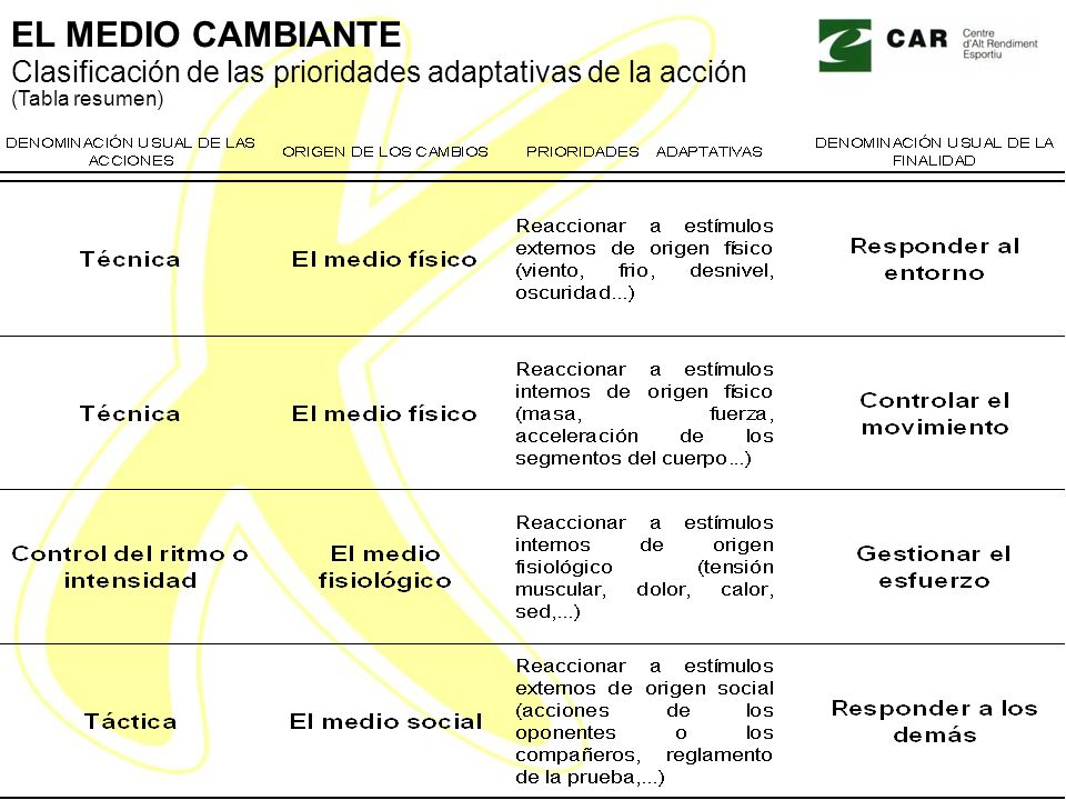 EL MEDIO CAMBIANTE Clasificación de las prioridades adaptativas de la acción (Tabla resumen)