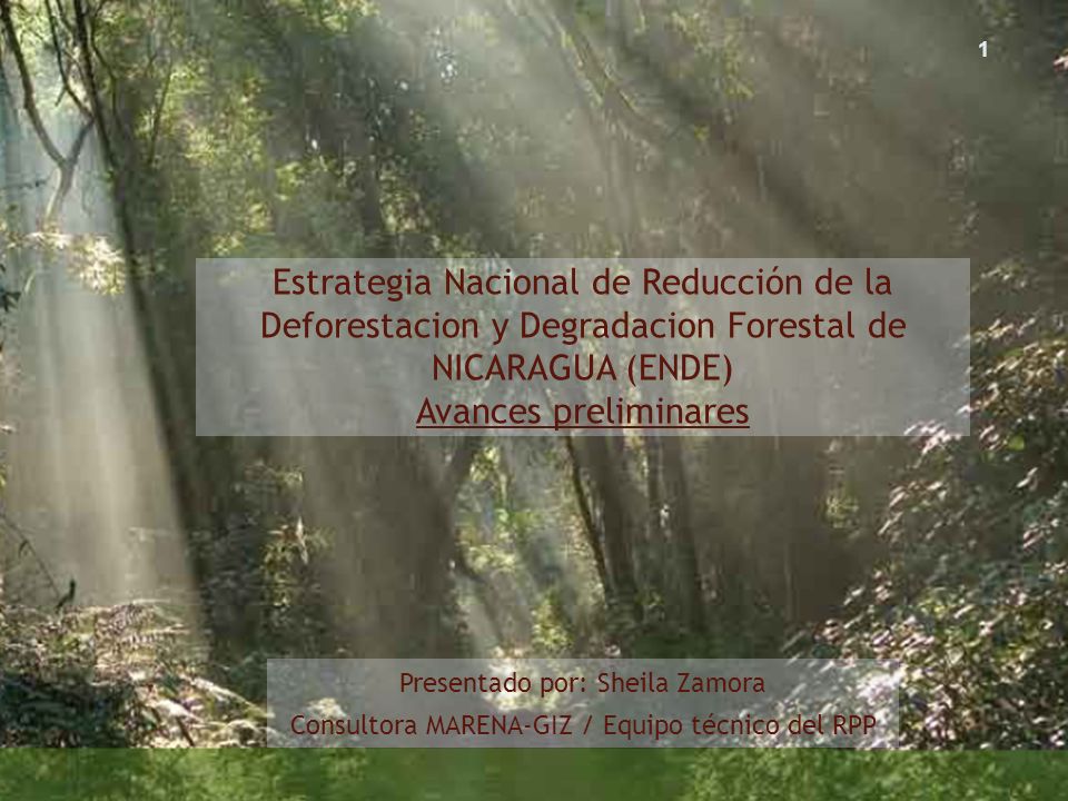 Estrategia Nacional de Reducción de la Deforestacion y Degradacion Forestal de NICARAGUA (ENDE) Avances preliminares