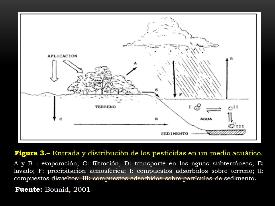 Figura 3.– Entrada y distribución de los pesticidas en un medio acuático.