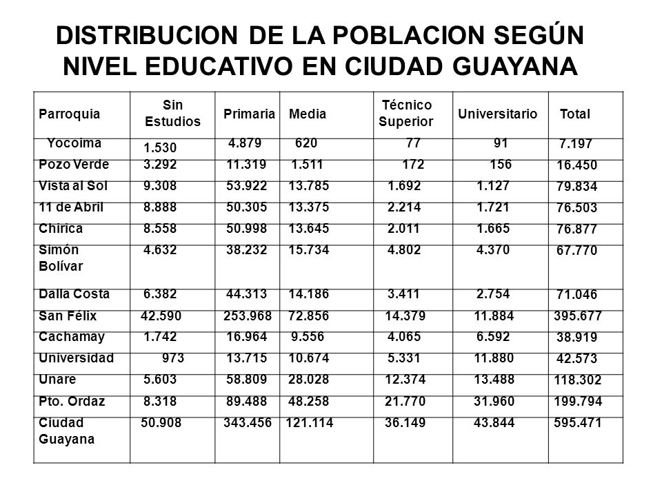 DISTRIBUCION DE LA POBLACION SEGÚN NIVEL EDUCATIVO EN CIUDAD GUAYANA