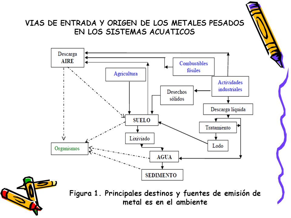 VIAS DE ENTRADA Y ORIGEN DE LOS METALES PESADOS EN LOS SISTEMAS ACUATICOS