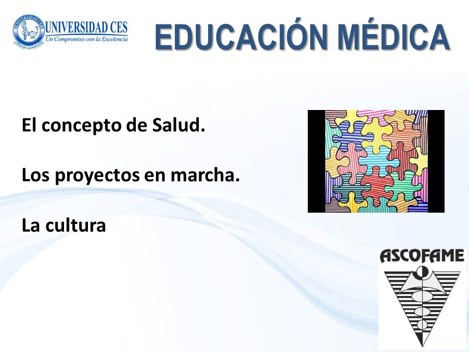 EDUCACIÓN MÉDICA El concepto de Salud. Los proyectos en marcha.