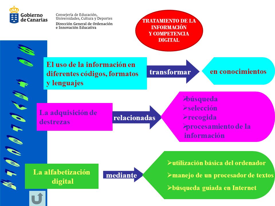 Se favorecerá El uso de la información en en conocimientos