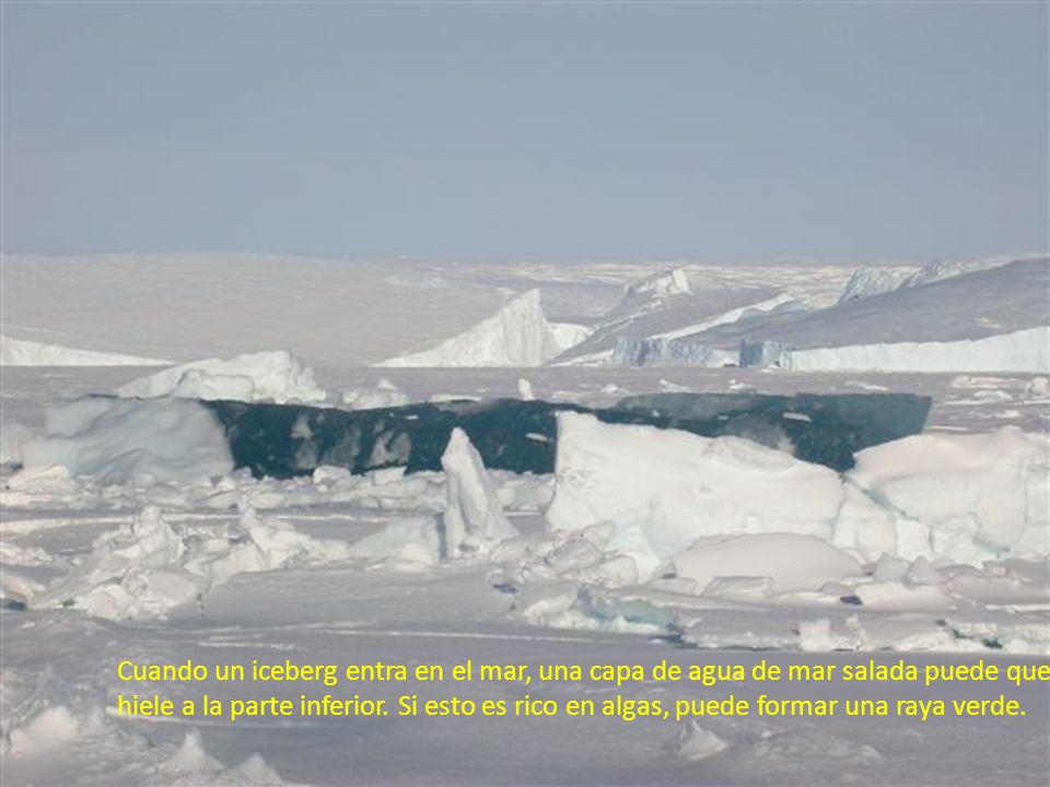 Cuando un iceberg entra en el mar, una capa de agua de mar salada puede que
