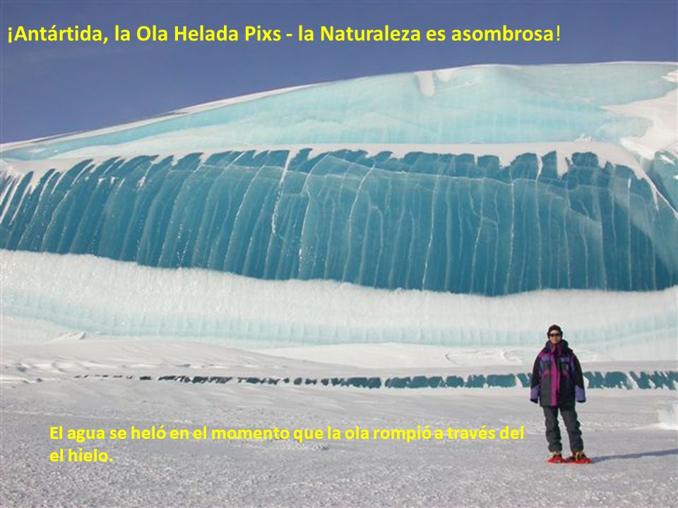 ¡Antártida, la Ola Helada Pixs - la Naturaleza es asombrosa!