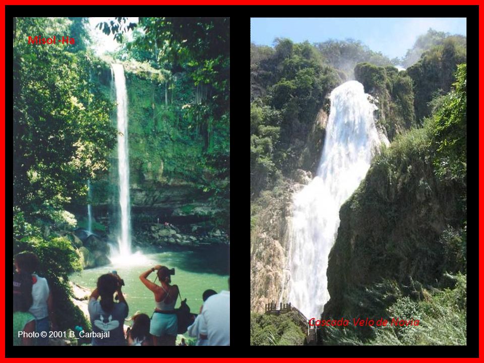 Misol -Ha Photo © 2001 B_Carbajal Cascada Velo de Novia