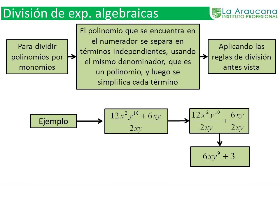 División de exp. algebraicas