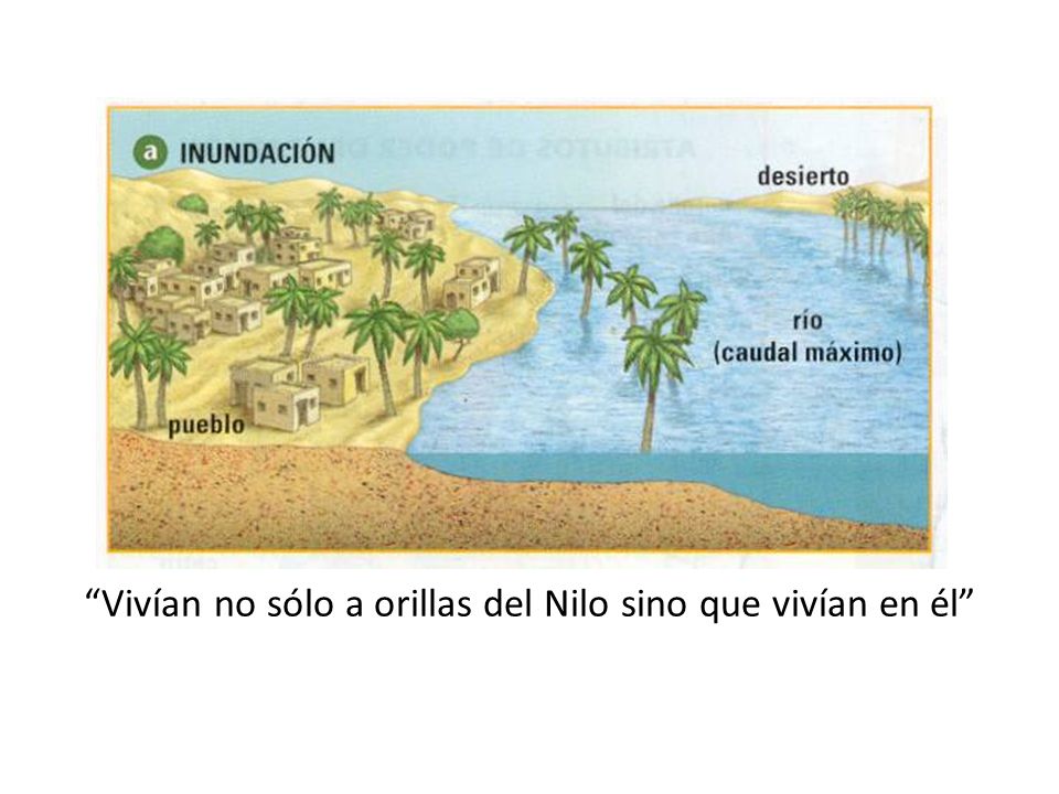 Vivían no sólo a orillas del Nilo sino que vivían en él