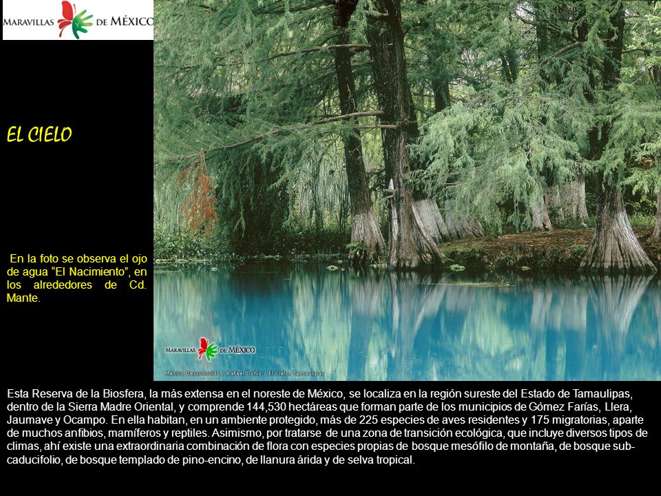 EL CIELO En la foto se observa el ojo de agua El Nacimiento , en los alrededores de Cd. Mante.