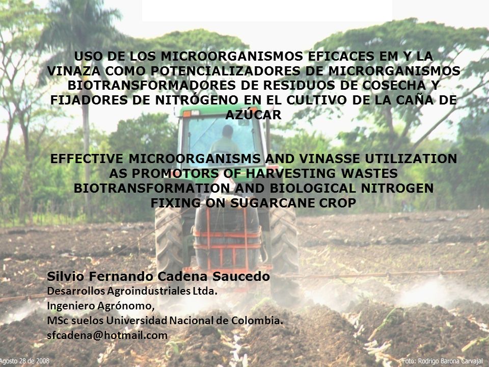 USO DE LOS MICROORGANISMOS EFICACES EM Y LA VINAZA COMO POTENCIALIZADORES DE MICRORGANISMOS BIOTRANSFORMADORES DE RESIDUOS DE COSECHA Y FIJADORES DE NITRÓGENO EN EL CULTIVO DE LA CAÑA DE AZÚCAR