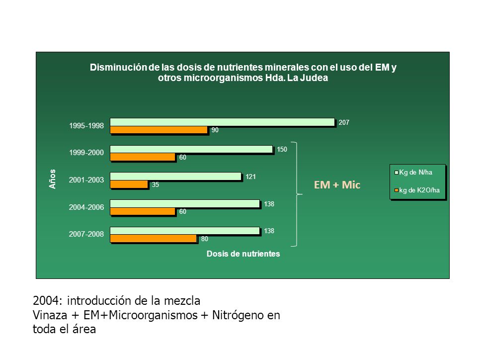 EM + Mic 2004: introducción de la mezcla Vinaza + EM+Microorganismos + Nitrógeno en toda el área