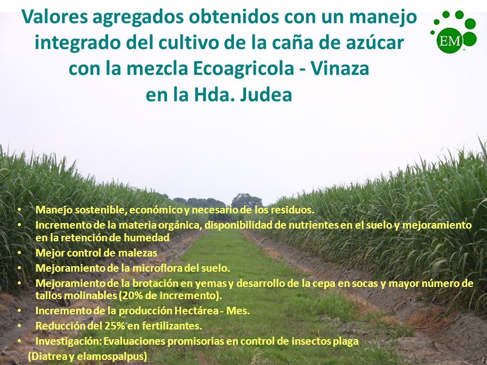 Valores agregados obtenidos con un manejo integrado del cultivo de la caña de azúcar con la mezcla Ecoagricola - Vinaza en la Hda. Judea