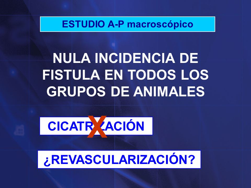 X NULA INCIDENCIA DE FISTULA EN TODOS LOS GRUPOS DE ANIMALES