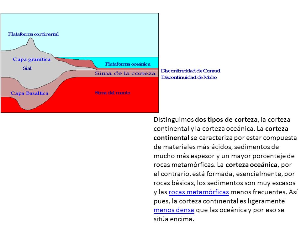 Distinguimos dos tipos de corteza, la corteza continental y la corteza oceánica.