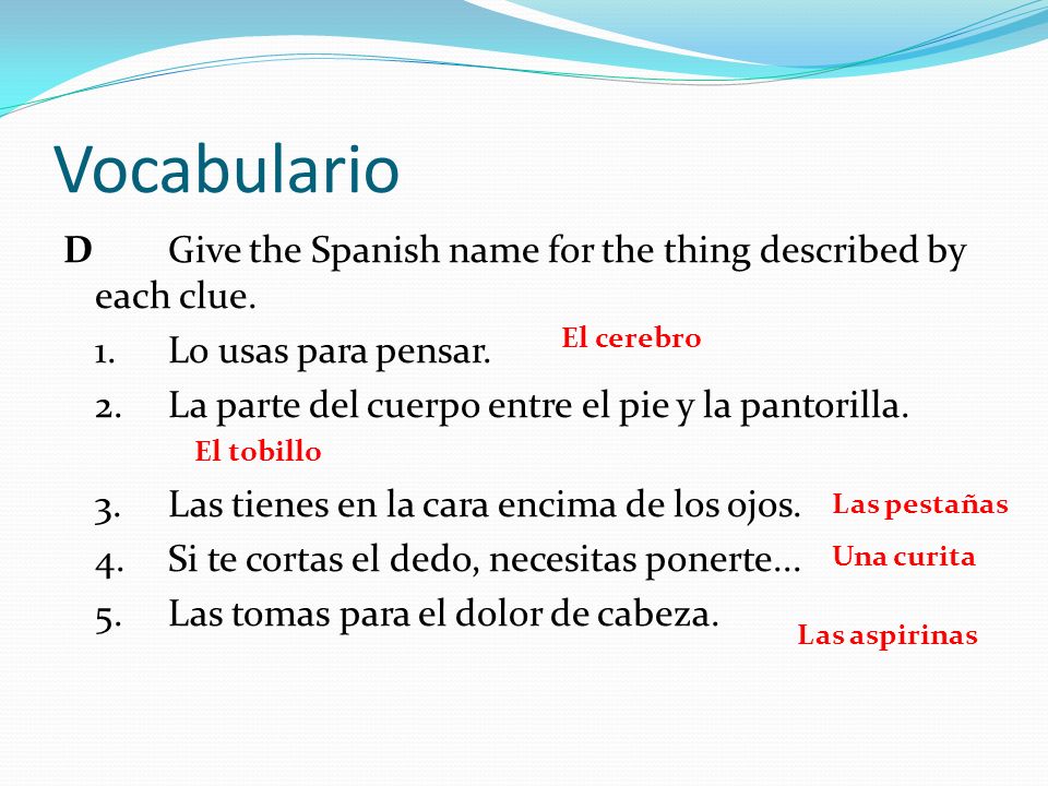 Vocabulario D Give the Spanish name for the thing described by each clue. 1. Lo usas para pensar.