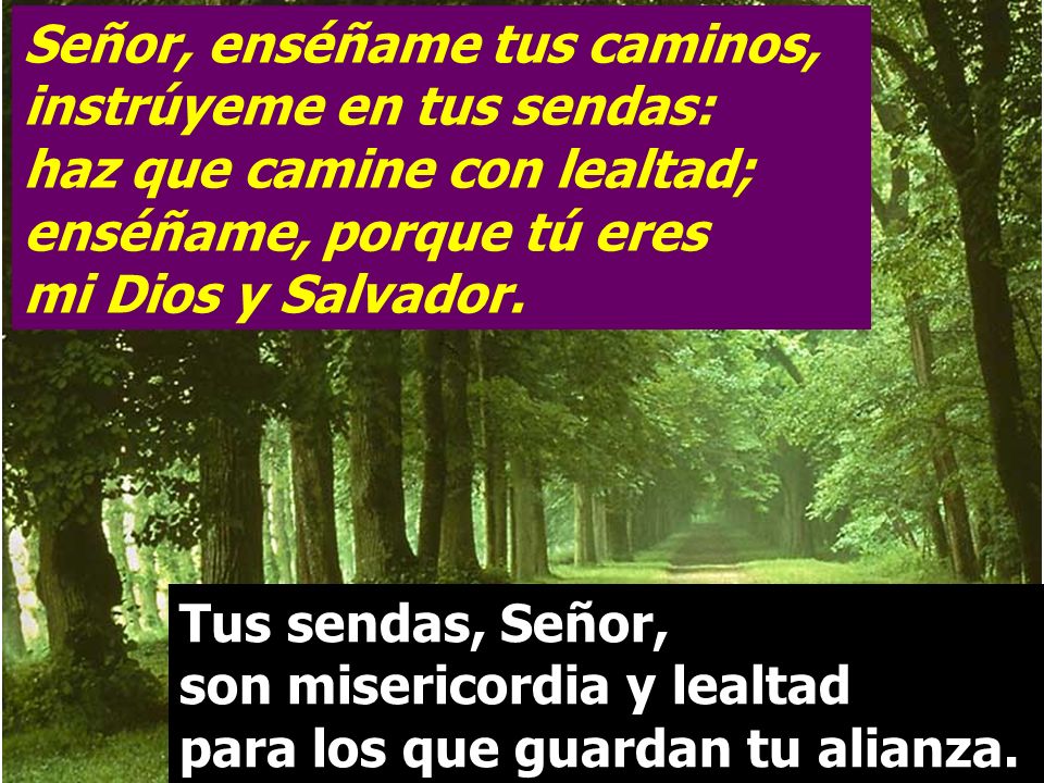 Señor, enséñame tus caminos, instrúyeme en tus sendas: haz que camine con lealtad; enséñame, porque tú eres mi Dios y Salvador.