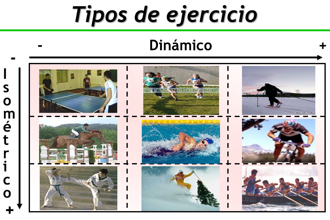 Tipos de ejercicio - Dinámico + - I s o m é t r i c +