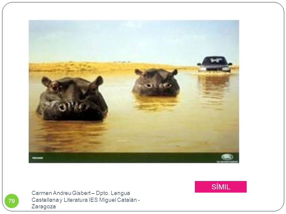SÍMIL Carmen Andreu Gisbert – Dpto. Lengua Castellana y Literatura IES Miguel Catalán - Zaragoza