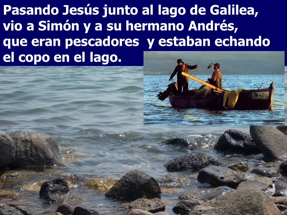 Pasando Jesús junto al lago de Galilea, vio a Simón y a su hermano Andrés, que eran pescadores y estaban echando el copo en el lago.