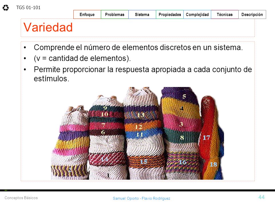 Variedad Comprende el número de elementos discretos en un sistema.