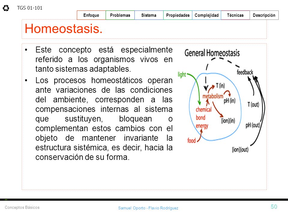 Homeostasis. Este concepto está especialmente referido a los organismos vivos en tanto sistemas adaptables.