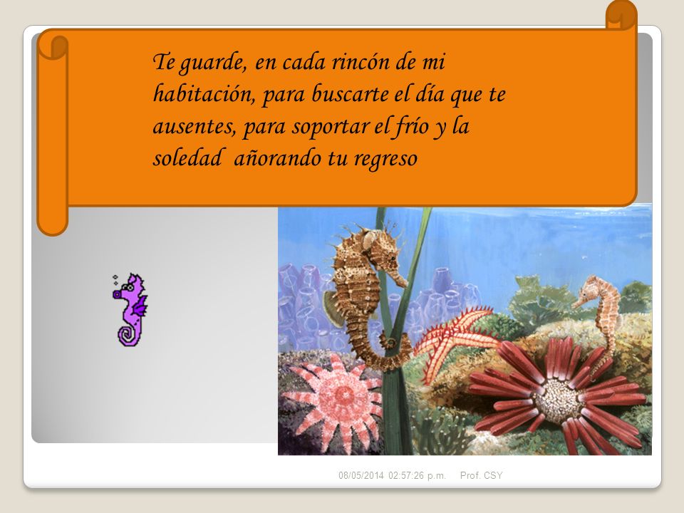 Te guarde, en cada rincón de mi habitación, para buscarte el día que te ausentes, para soportar el frío y la soledad añorando tu regreso