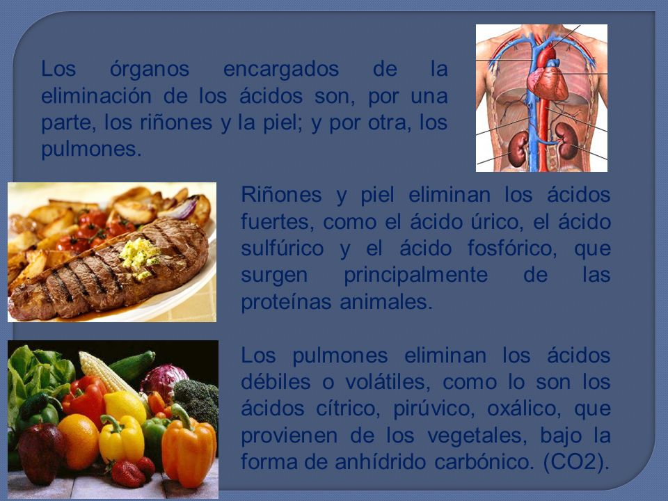 Los órganos encargados de la eliminación de los ácidos son, por una parte, los riñones y la piel; y por otra, los pulmones.