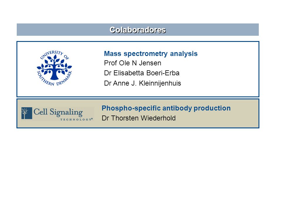 Colaboradores Mass spectrometry analysis Prof Ole N Jensen