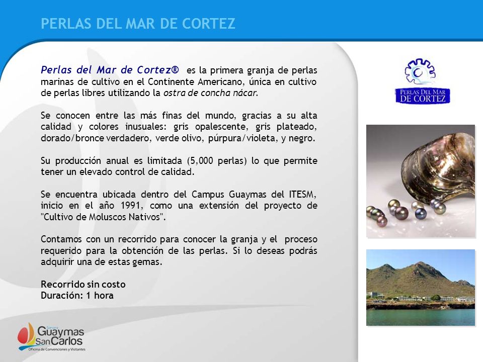 PERLAS DEL MAR DE CORTEZ PERLAS DEL MAR DE CORTEZ