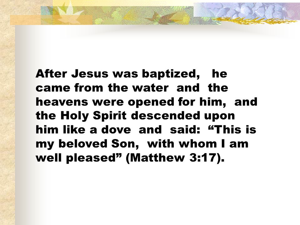 After Jesus was baptized, he came from the water and the heavens were opened for him, and the Holy Spirit descended upon him like a dove and said: This is my beloved Son, with whom I am well pleased (Matthew 3:17).