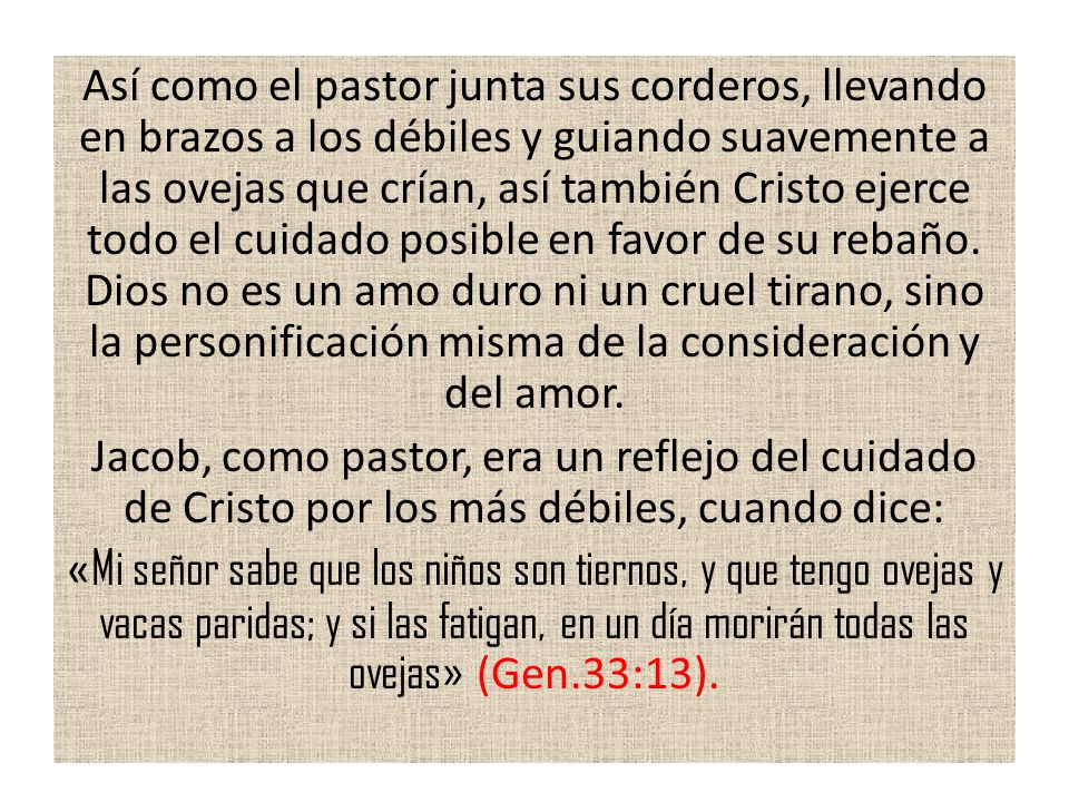 Así como el pastor junta sus corderos, llevando en brazos a los débiles y guiando suavemente a las ovejas que crían, así también Cristo ejerce todo el cuidado posible en favor de su rebaño.
