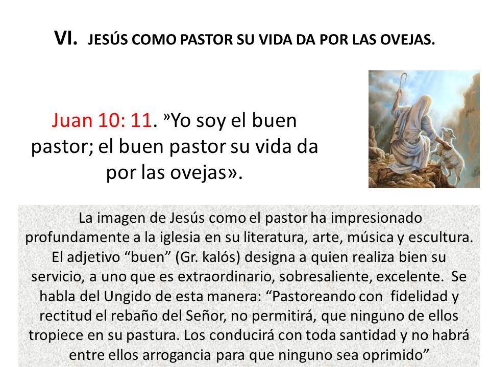 VI. JESÚS COMO PASTOR SU VIDA DA POR LAS OVEJAS.
