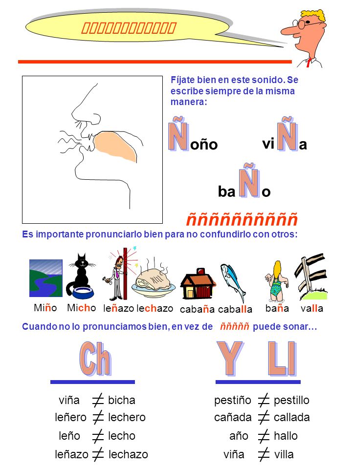 Ñ Ñ Ñ Ch Y Ll ññññññññññ ññññññññññññ oño vi a ba o viña bicha pestiño