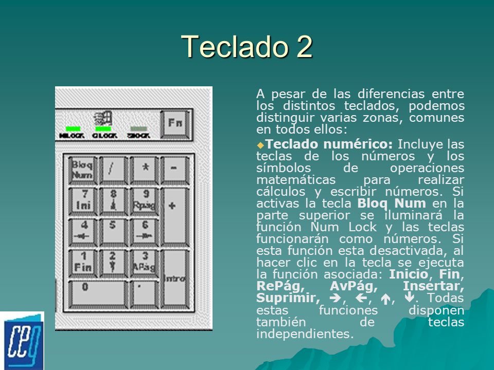 Teclado 2 A pesar de las diferencias entre los distintos teclados, podemos distinguir varias zonas, comunes en todos ellos: