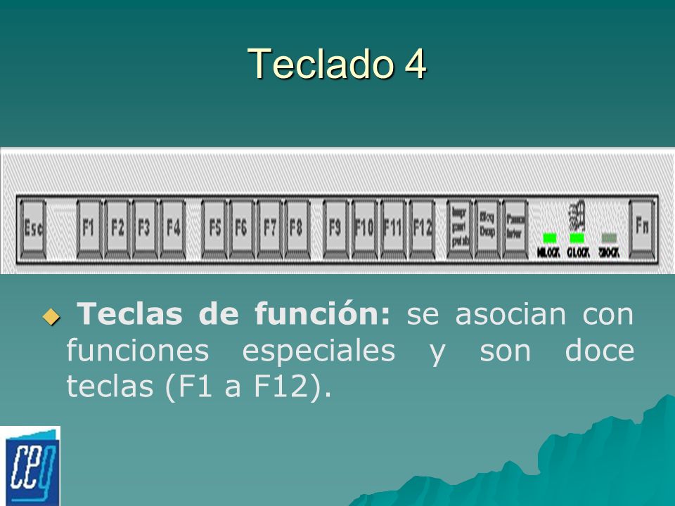 Teclado 4 Teclas de función: se asocian con funciones especiales y son doce teclas (F1 a F12).
