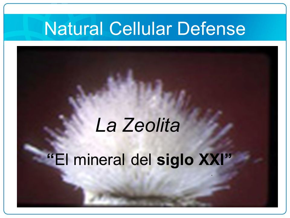 La Zeolita Natural Cellular Defense El mineral del siglo XXI