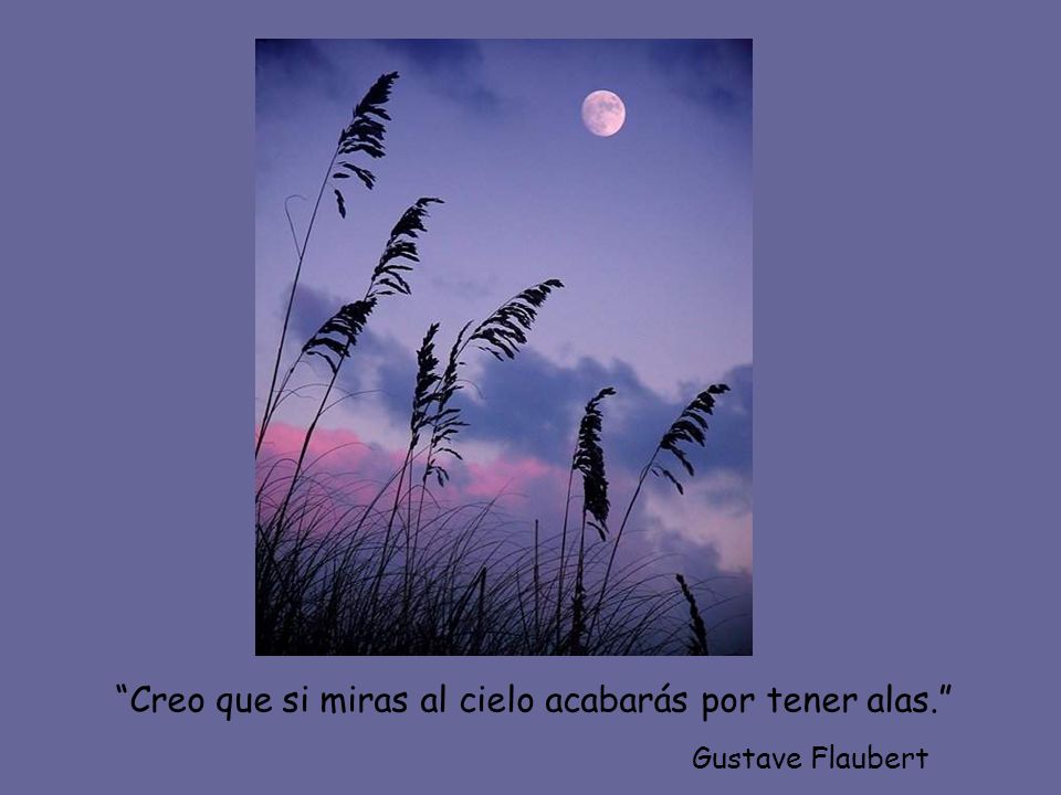 Creo que si miras al cielo acabarás por tener alas.