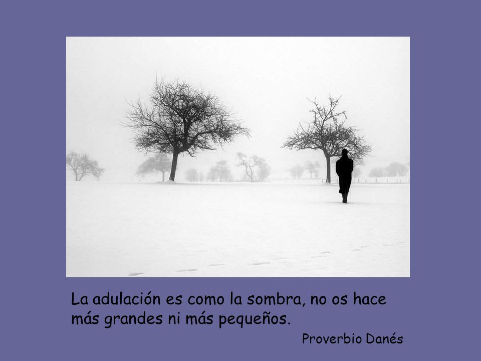 La adulación es como la sombra, no os hace más grandes ni más pequeños.