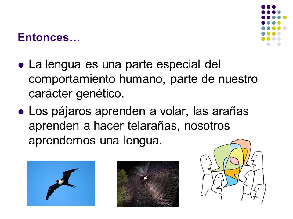 Entonces… La lengua es una parte especial del comportamiento humano, parte de nuestro carácter genético.