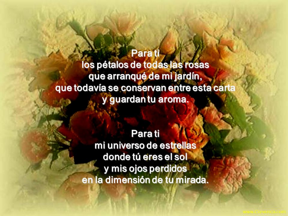 Para ti los pétalos de todas las rosas que arranqué de mi jardín, que todavía se conservan entre esta carta y guardan tu aroma.