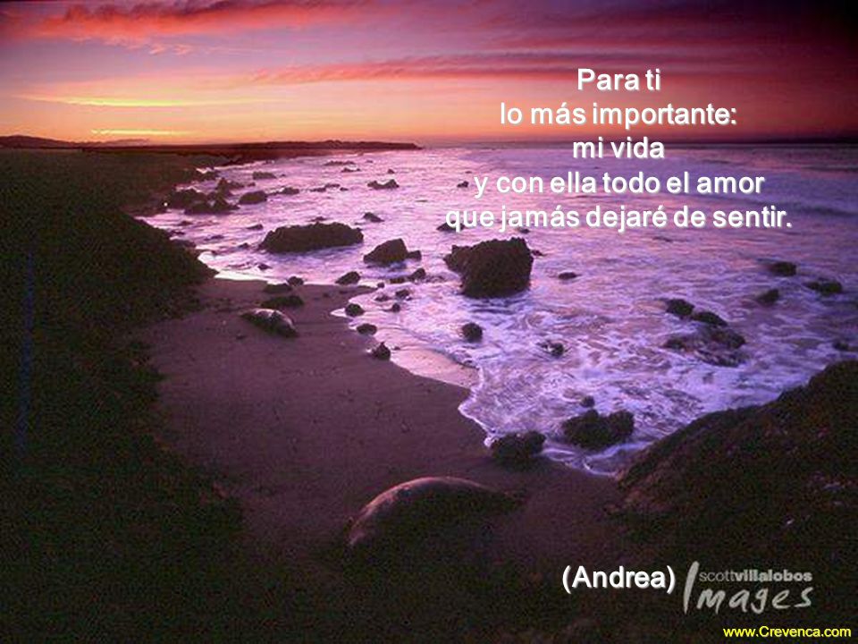 Para ti lo más importante: mi vida y con ella todo el amor que jamás dejaré de sentir.