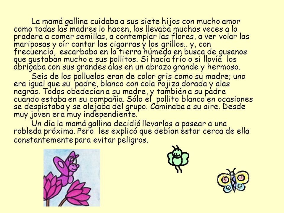 La mamá gallina cuidaba a sus siete hijos con mucho amor como todas las madres lo hacen, los llevaba muchas veces a la pradera a comer semillas, a contemplar las flores, a ver volar las mariposas y oír cantar las cigarras y los grillos.. y, con frecuencia, escarbaba en la tierra húmeda en busca de gusanos que gustaban mucho a sus pollitos. Si hacía frío o si llovía los abrigaba con sus grandes alas en un abrazo grande y hermoso.