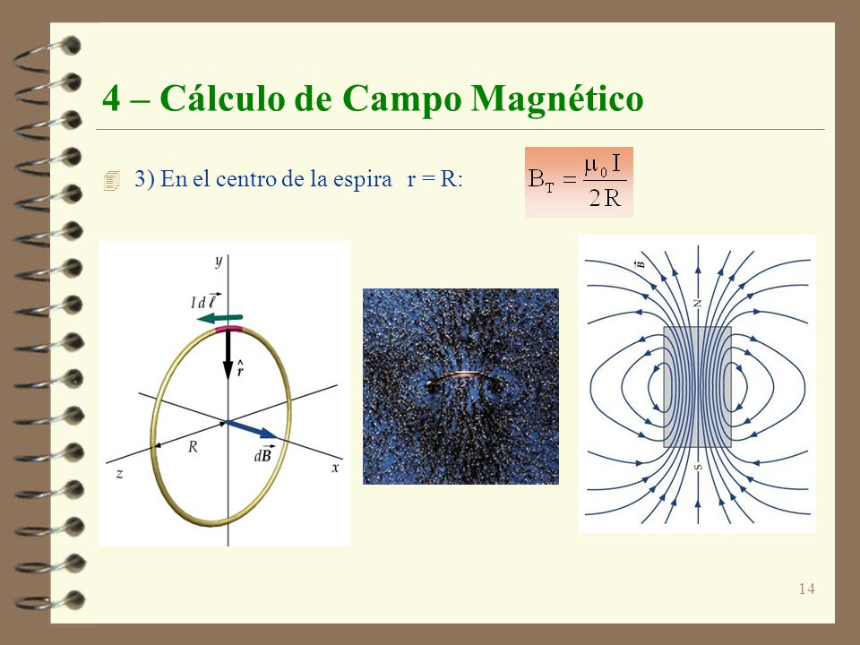4 – Cálculo de Campo Magnético