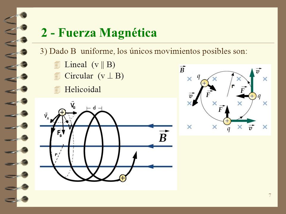2 - Fuerza Magnética 3) Dado B uniforme, los únicos movimientos posibles son: Lineal (v || B) Circular (v  B)