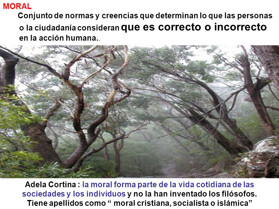 Tiene apellidos como moral cristiana, socialista o islámica