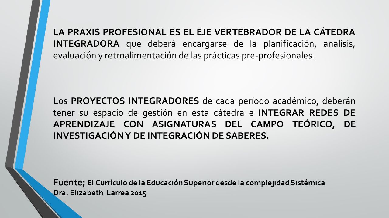 LA PRAXIS PROFESIONAL ES EL EJE VERTEBRADOR DE LA CÁTEDRA INTEGRADORA que deberá encargarse de la planificación, análisis, evaluación y retroalimentación de las prácticas pre-profesionales.