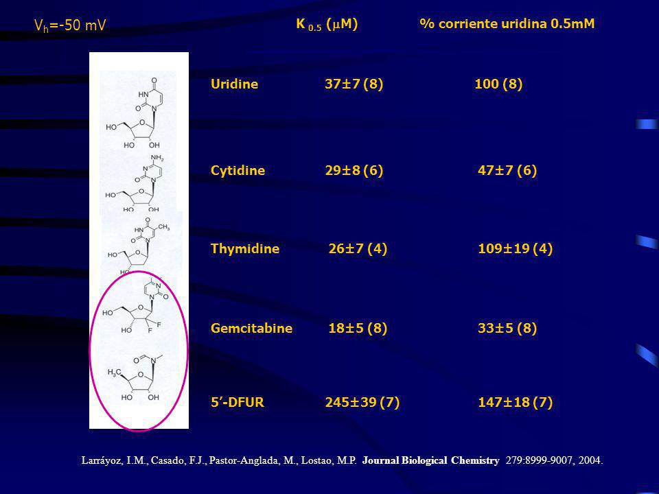 K 0.5 (mM) % corriente uridina 0.5mM