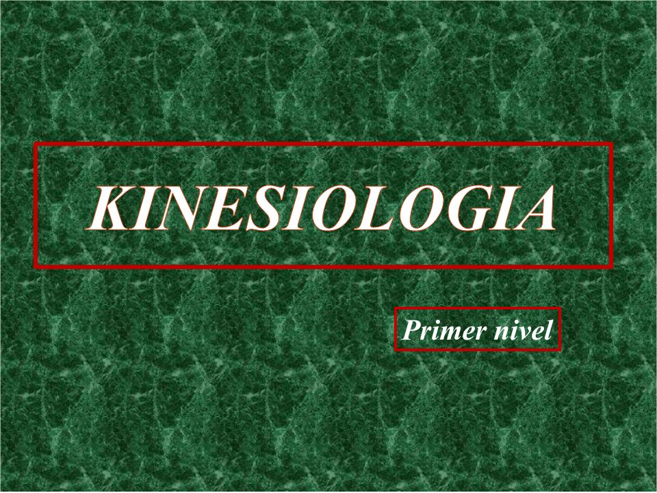 KINESIOLOGIA Primer nivel